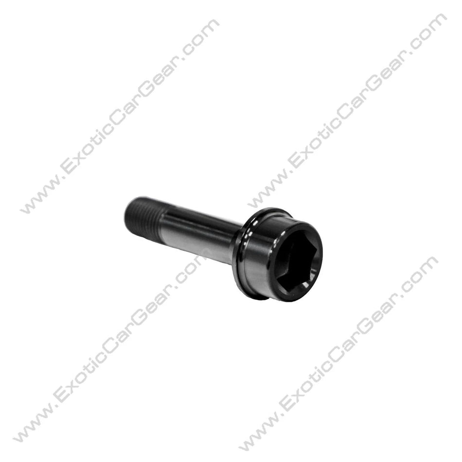 Exotic Car Gear Titanium Wheel Bolts - Fits Ferrari Challenge Titanium Wheel Bolt Kit 23 Piece Set - Black Finish